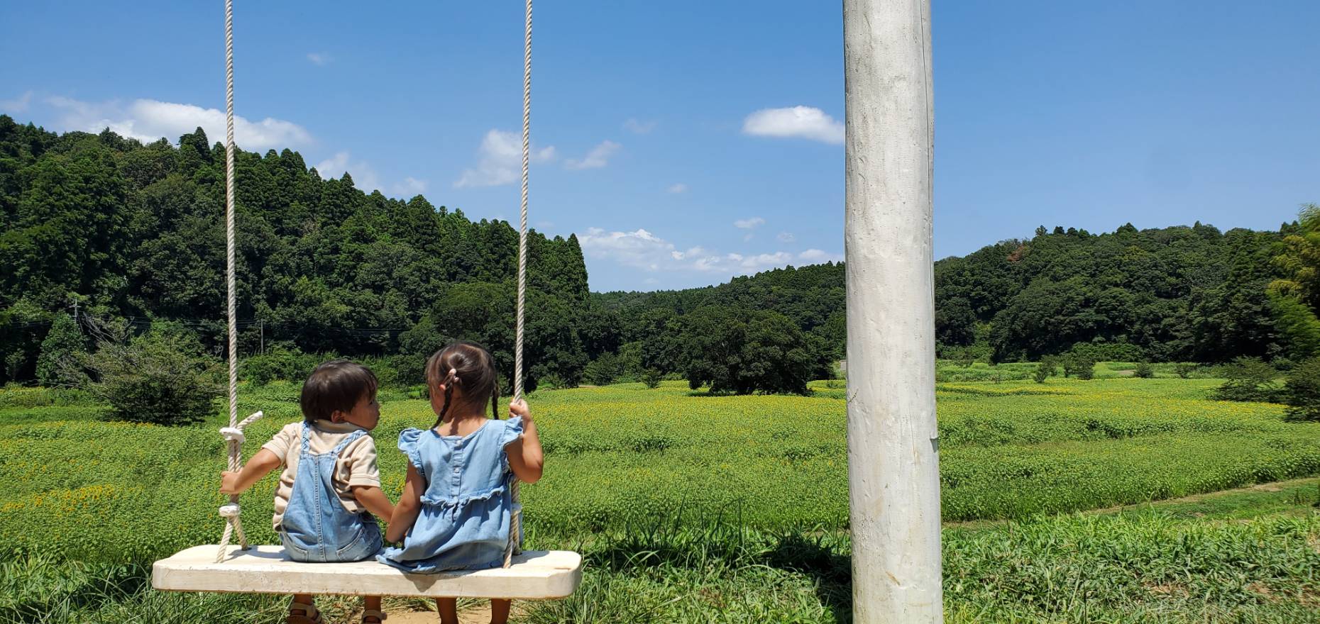 ～千葉の魅力～🌻🌻🌻ひまわり畑🌻🌻🌻
