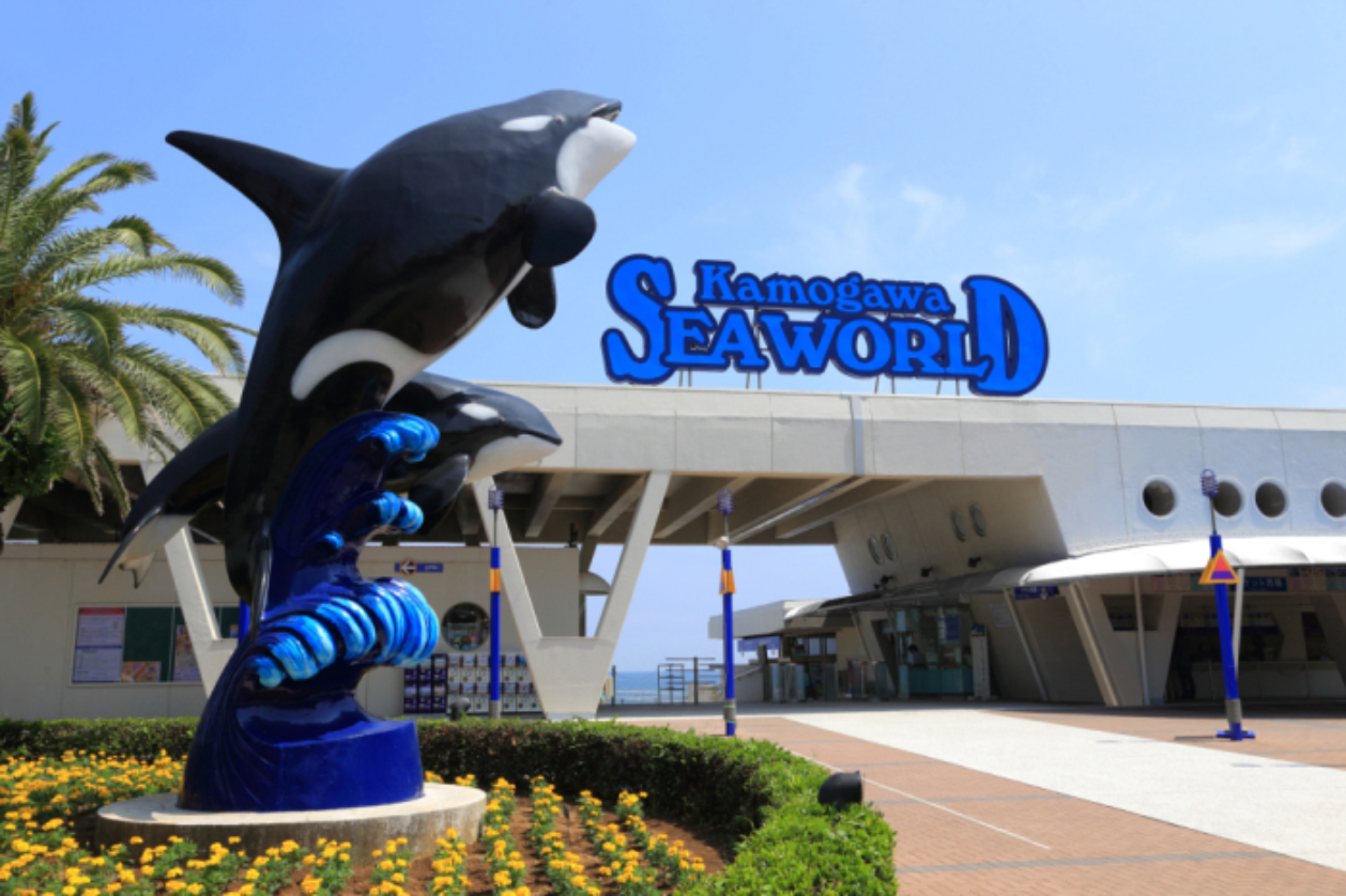 ～千葉の魅力～　🐬🐢🐳🐟鴨川シーワールド🐬🐳🐢🐟