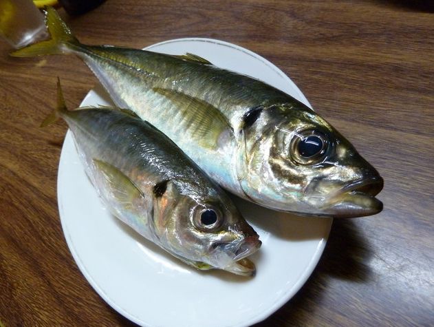 ★千葉の魅力★金アジで作りアジフライ