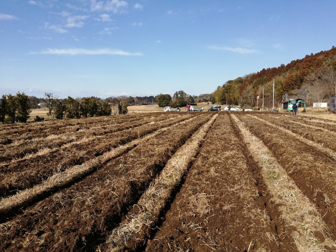 【ブルーベリー農園誕生】初めの一歩、畝作り始めました！ アイチャッチ