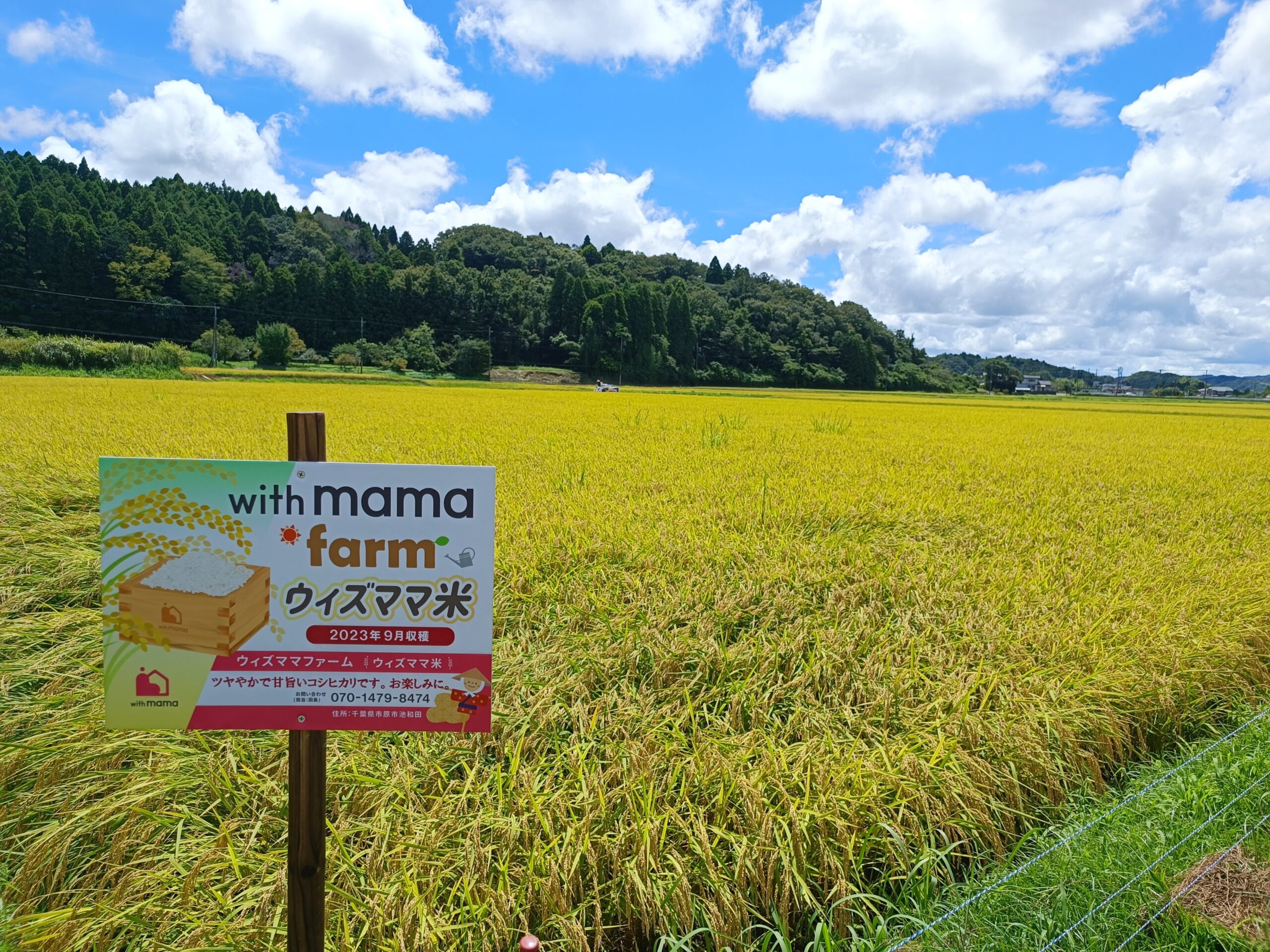 【withmamaファーム】ウィズママ米を収穫してきました！！ アイチャッチ