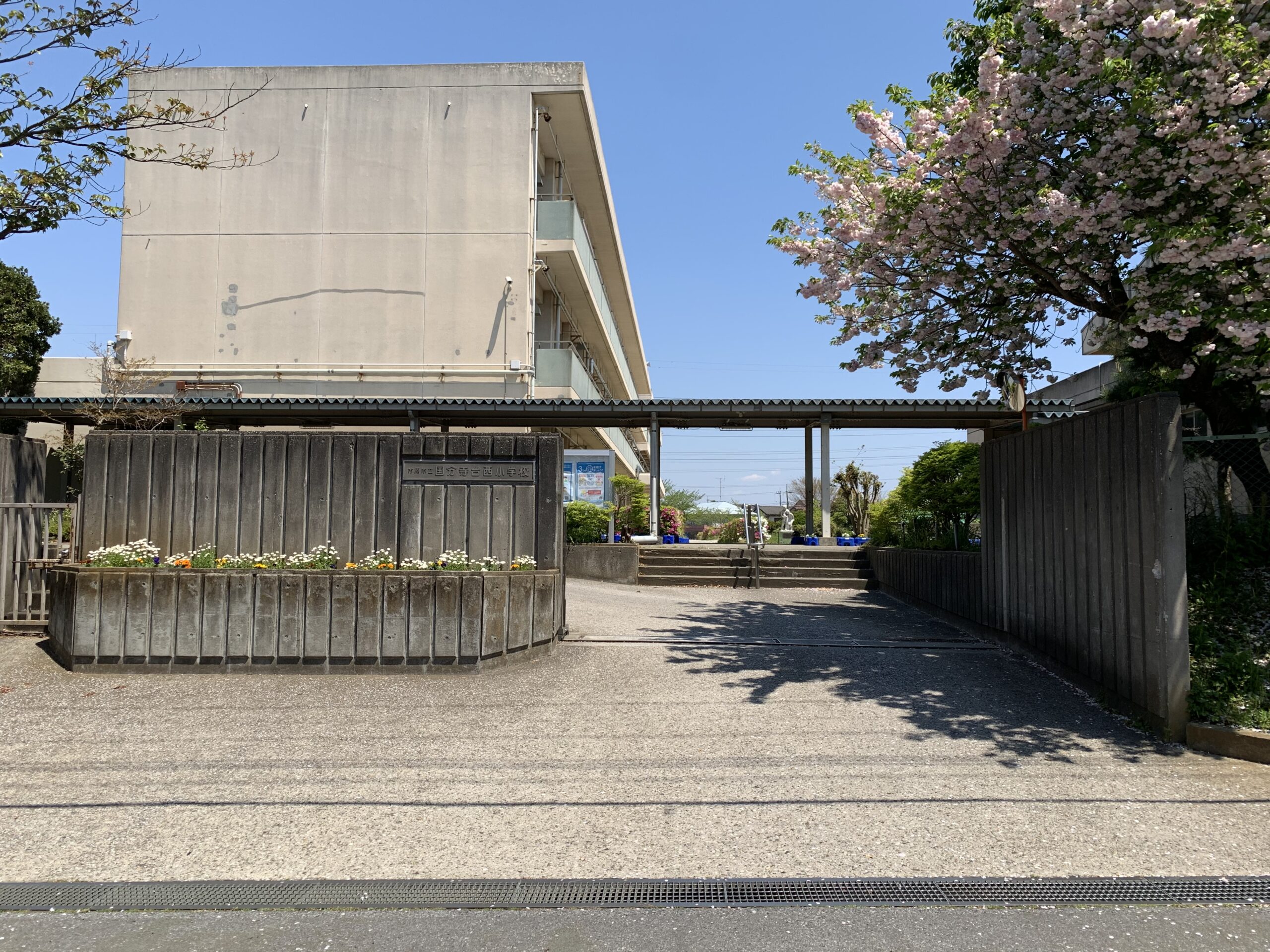 国分寺台西小学校