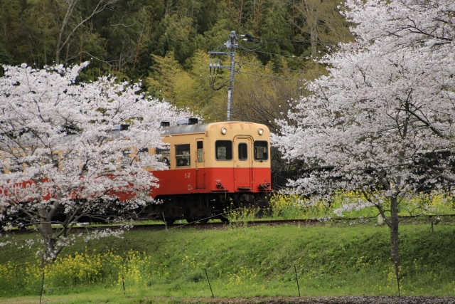 駅徒歩6分の利便性