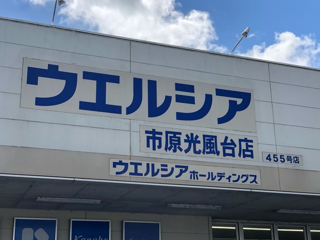 ウェルシア市原光風台店