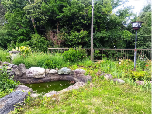 池のある庭付き