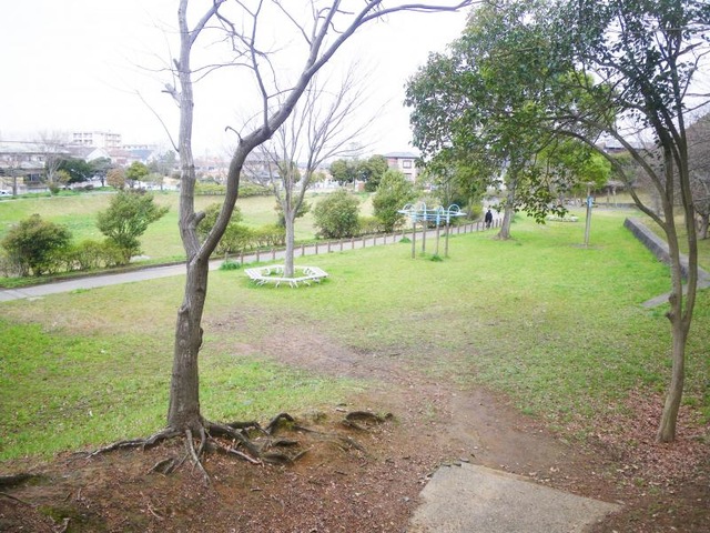 野際公園